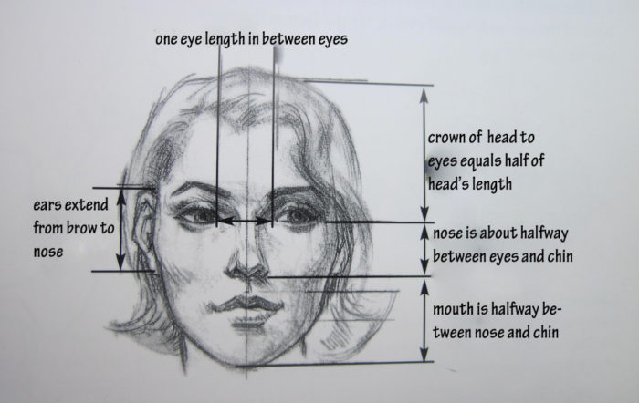 Drawing A Face Proportions Creating With Kaiser Drawing Facial Features - alena hennessy